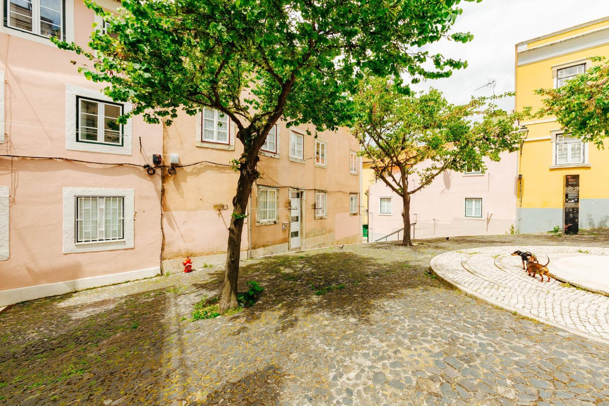 Rent4Rest Lisbon Downtown Tiny Studio Apartments Lisboa Exterior foto